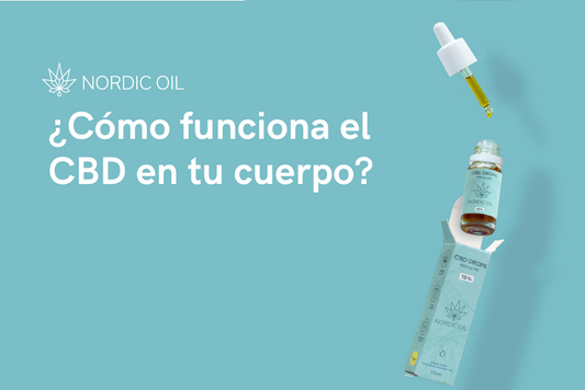 ¿Cómo funciona el CBD en tu cuerpo?
