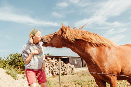 Caballo besando mujer
