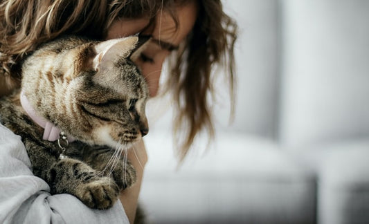 Una mujer tiene un gato en brazos.
