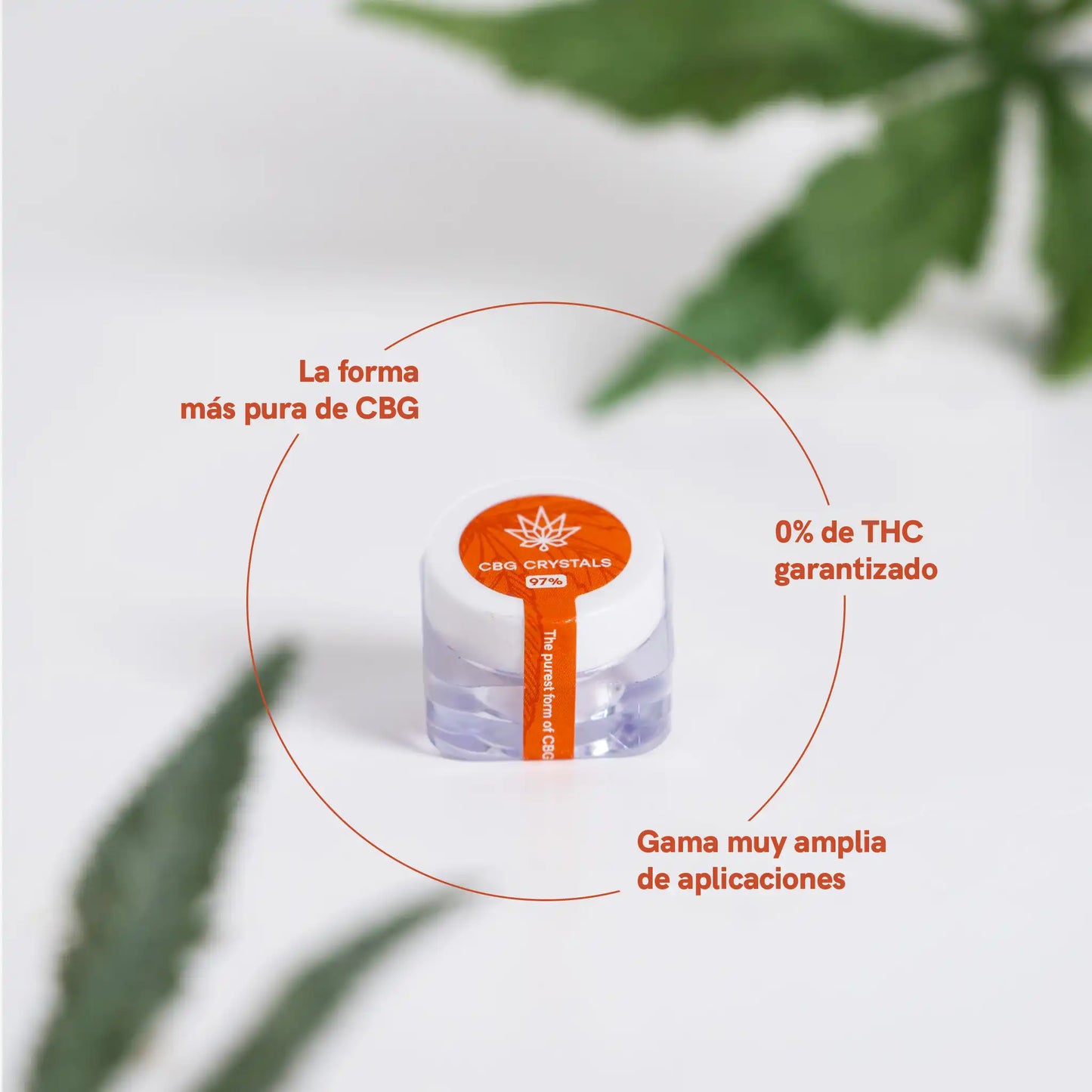 Cristales de CBG con un 98% de contenido de CBD