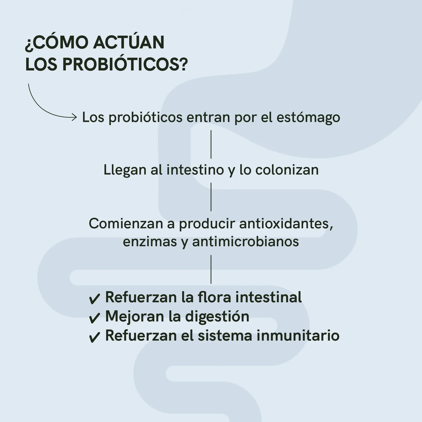 3POR2: Probióticos