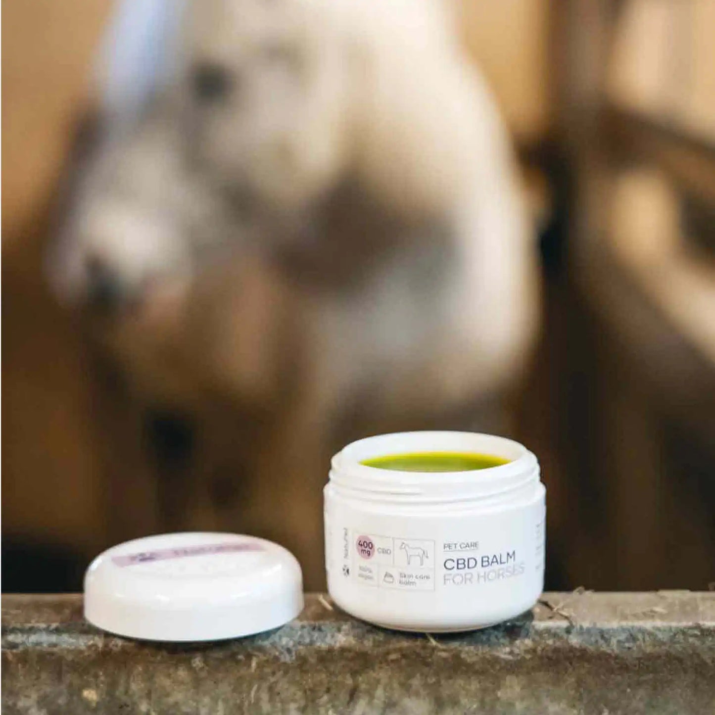 un bálsamo de CBD frente a un caballo blanco