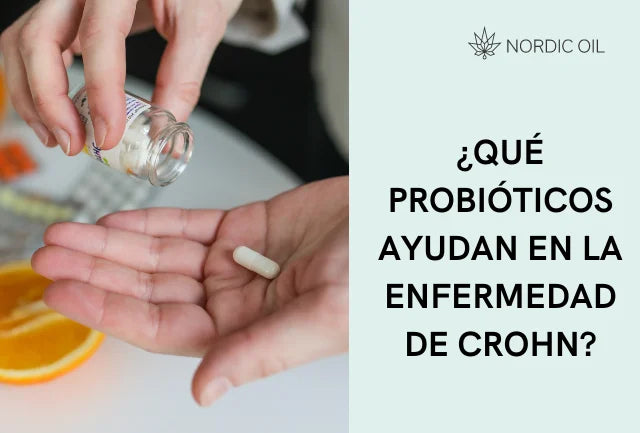 ¿Qué probióticos ayudan en la enfermedad de Crohn?