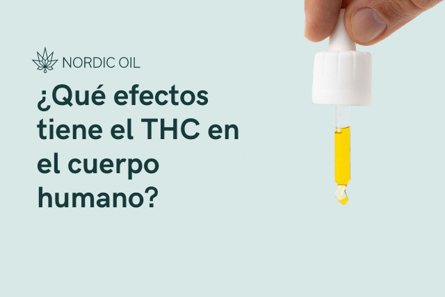 ¿Qué efectos tiene el THC en el cuerpo humano?