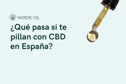 ¿Qué pasa si te pillan con CBD en España?