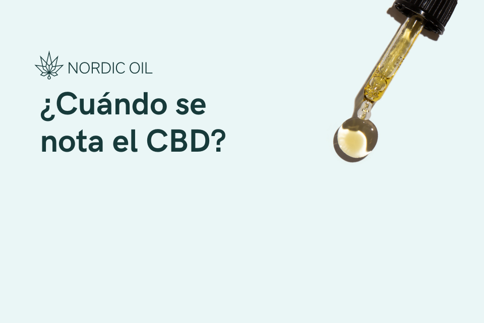 ¿Cuándo se nota el CBD?