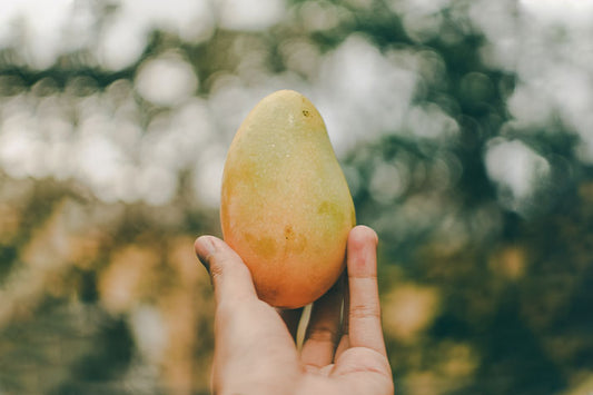 Una mano sostiene un mango.