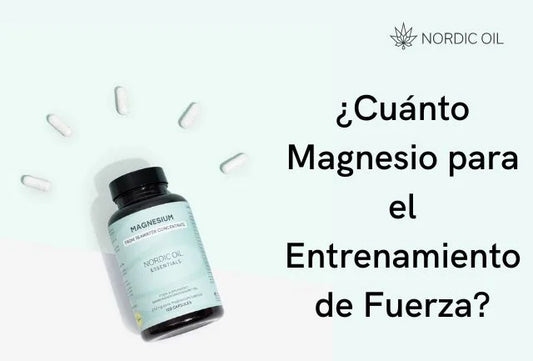 ¿Cuánto Magnesio para el Entrenamiento de Fuerza?