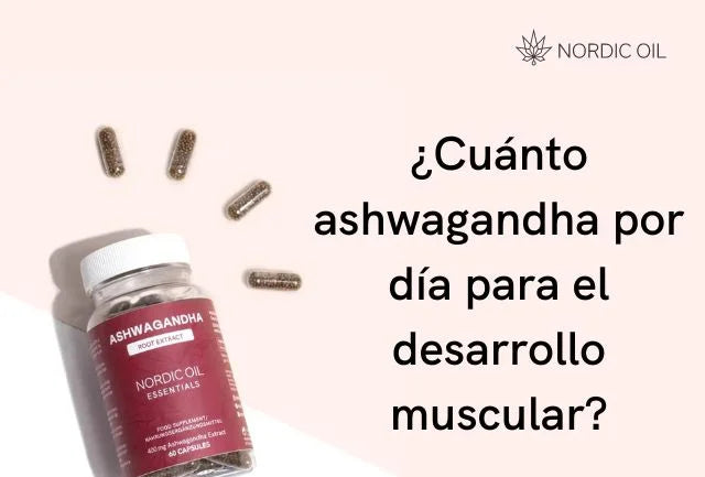¿Cuánto ashwagandha por día para el desarrollo muscular?