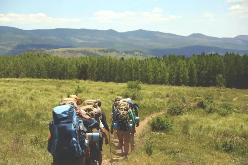 Descubre cómo el CBD puede mejorar tu rendimiento y recuperación en el senderismo y trekking