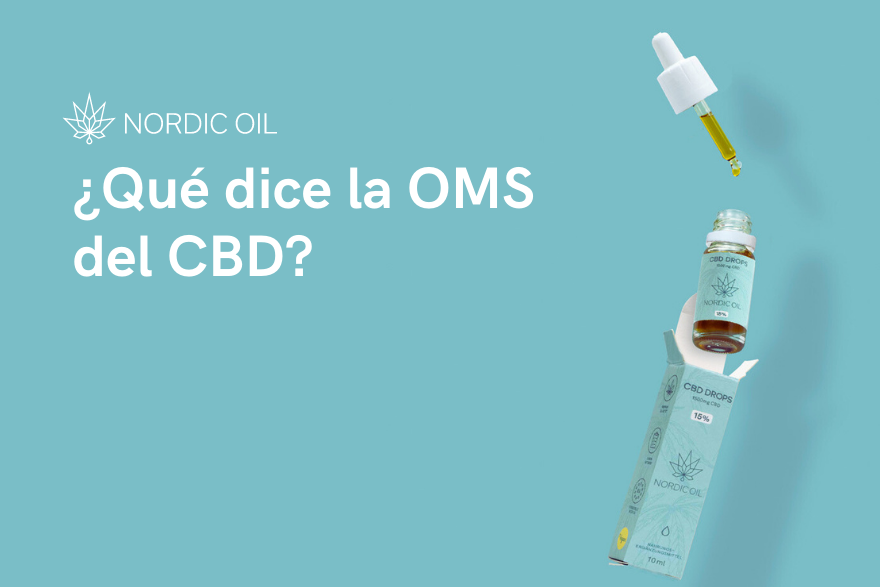 ¿Qué dice la OMS del CBD?