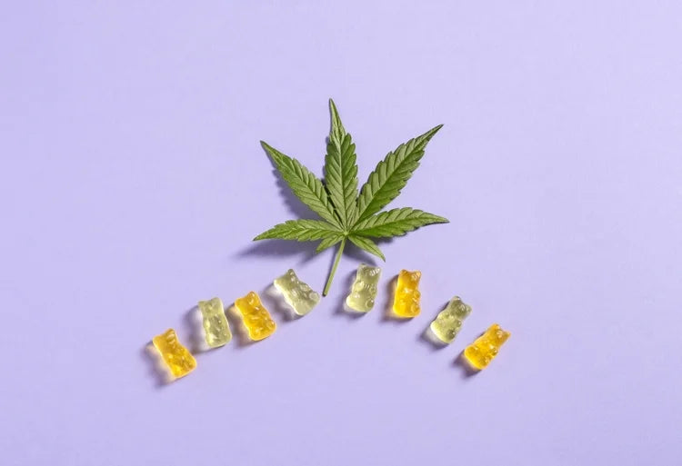 CBD gummies para el dolor