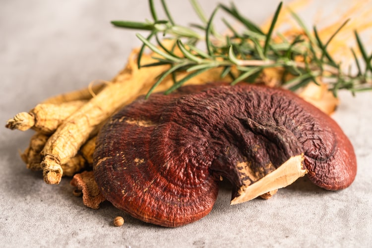 Hongo Reishi: Apoyo natural para el sistema inmunológico y la salud mental