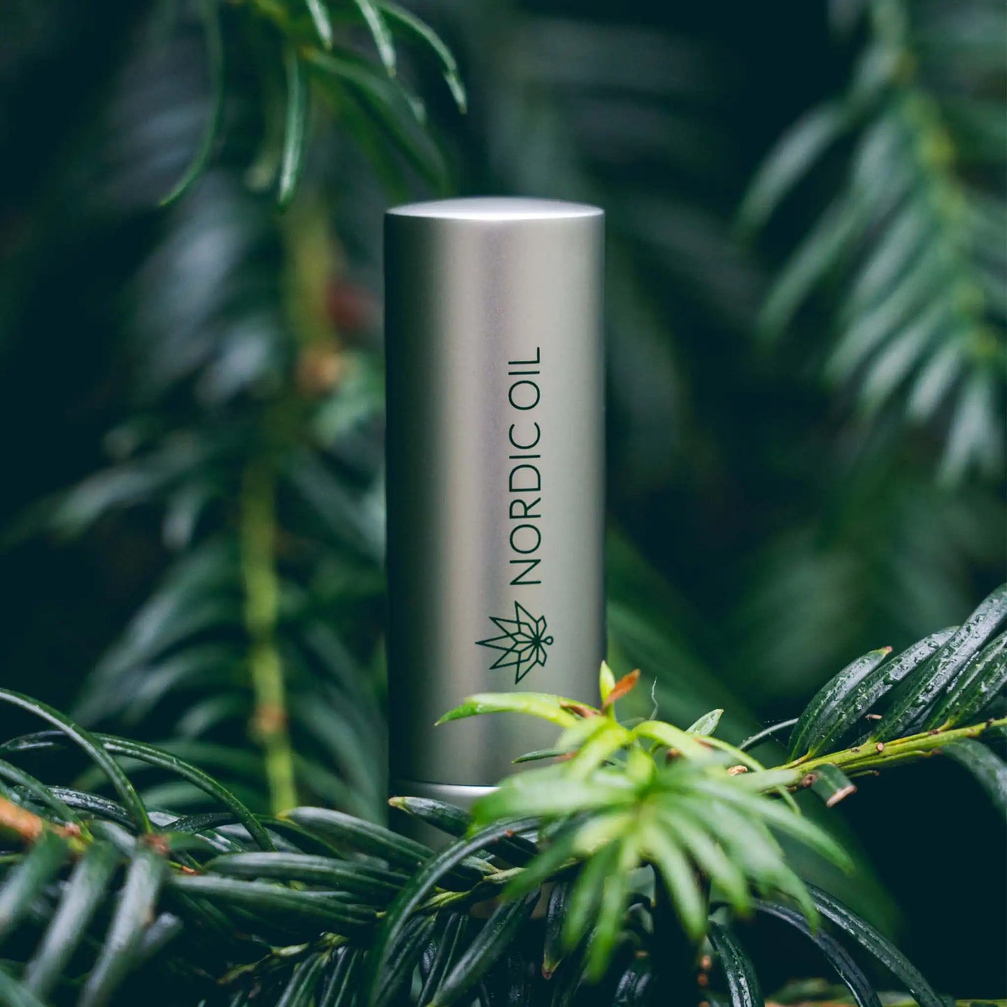 Bálsamo labial de CBD en medio natural 