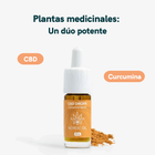 Botella de CBD Drops de Nordic Oil con polvo de cúrcuma a su lado
