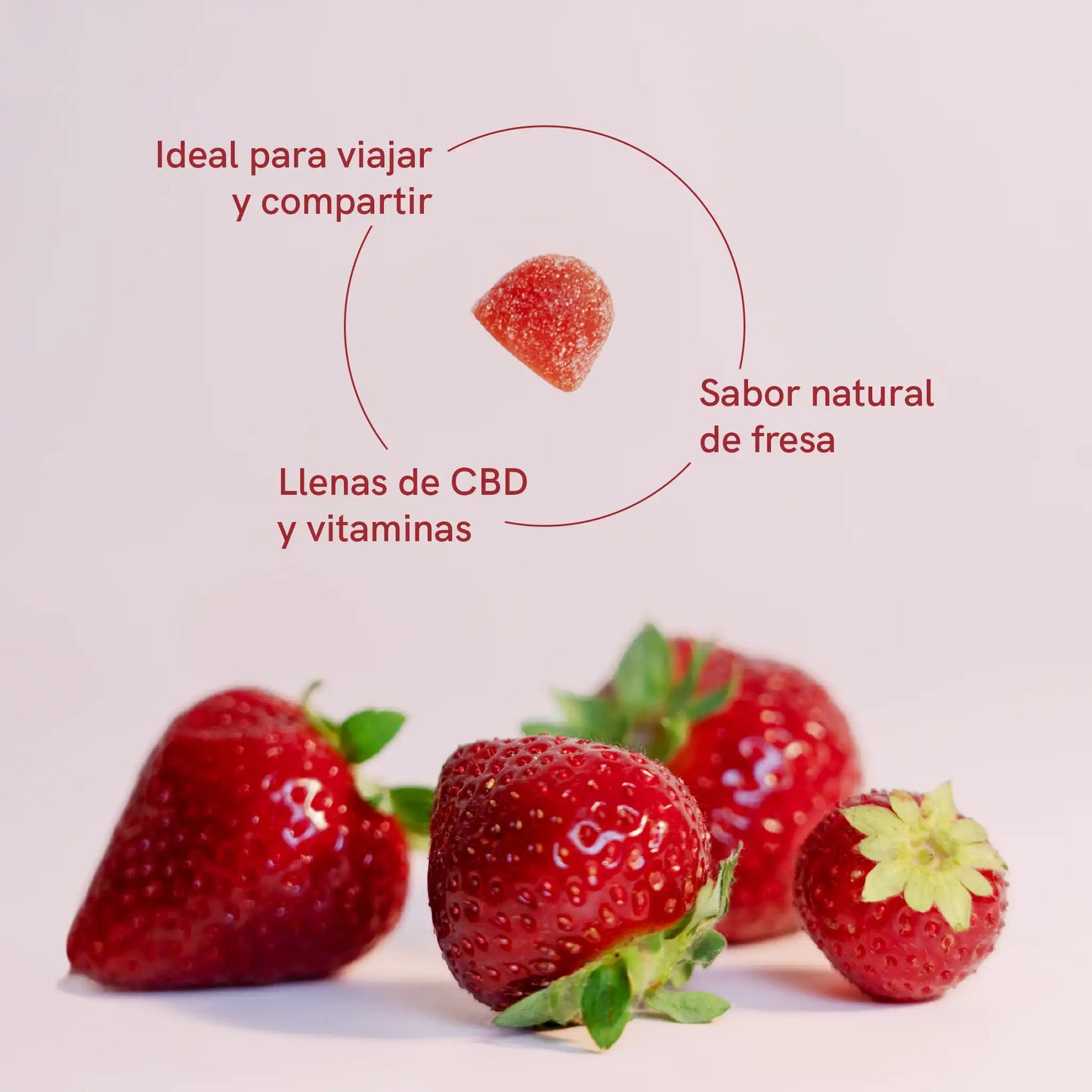 la gelatina de fresa con información: Ideal para viajar y compartir; llenas de cbd y vitaminas; sabor natural de fresa 