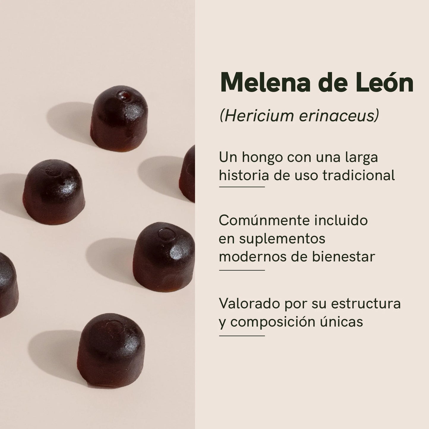 Gummies de Melena de León