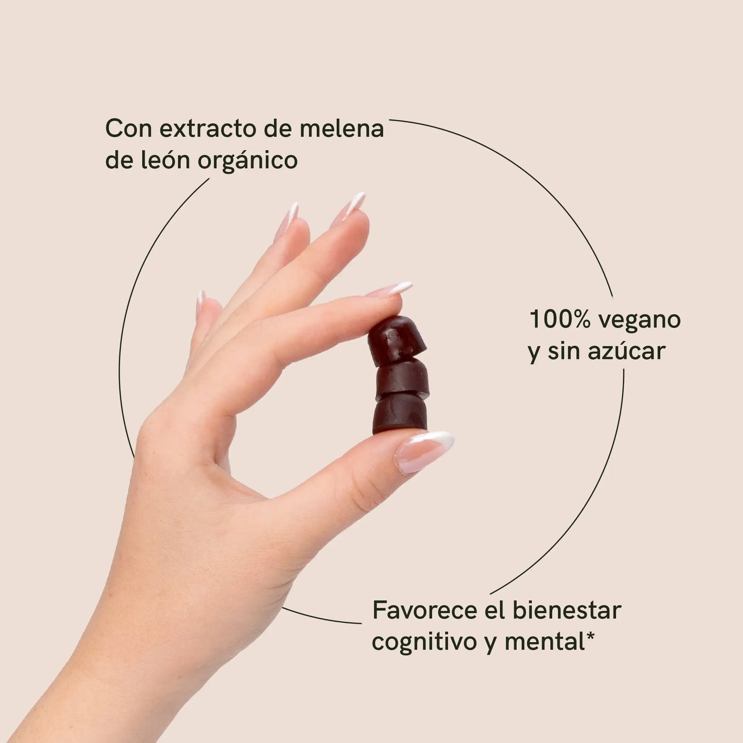 Gummies de Melena de León