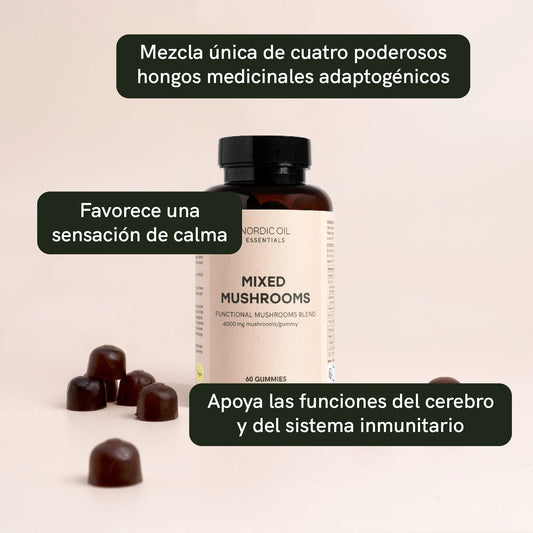 Hongos medicinales