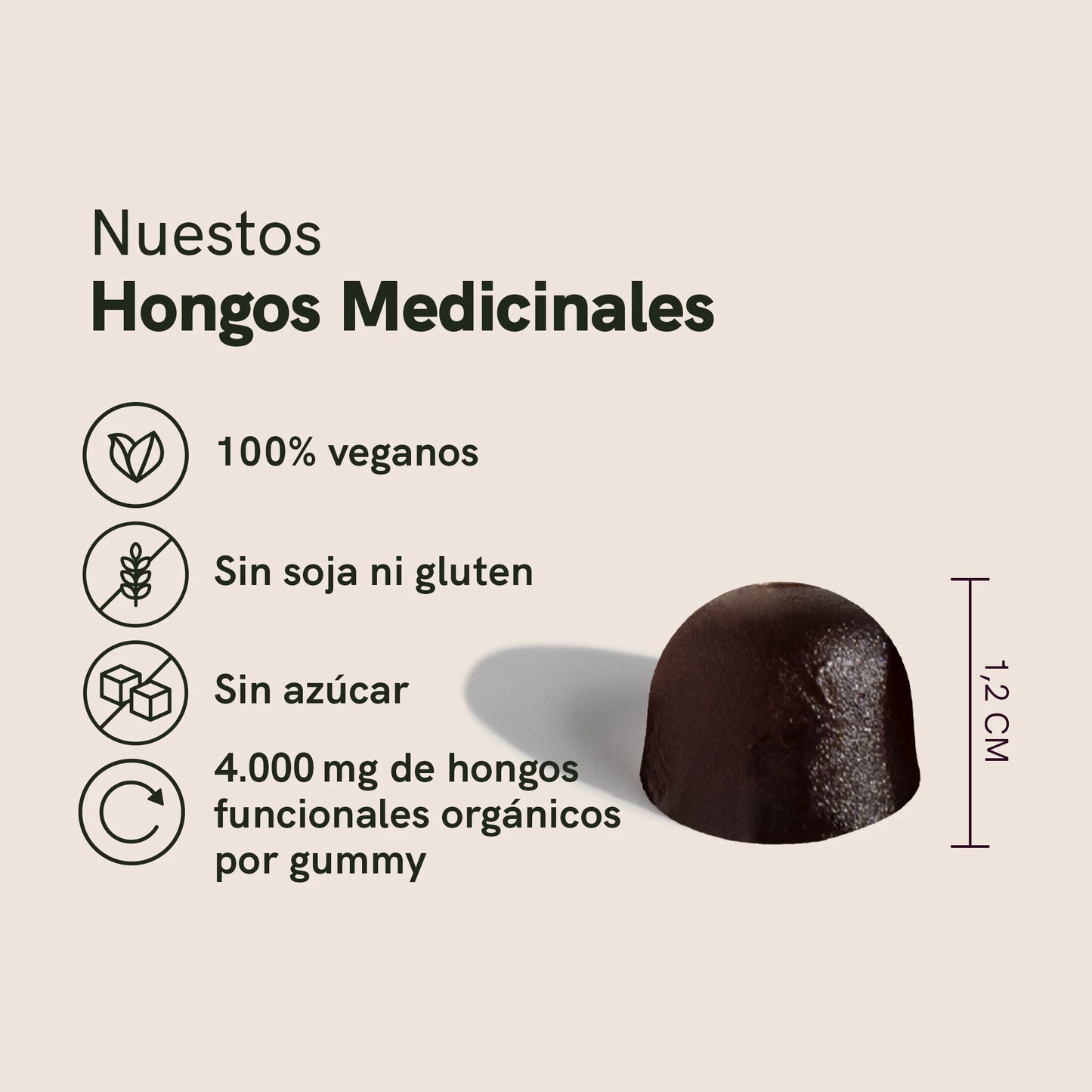 Hongos medicinales