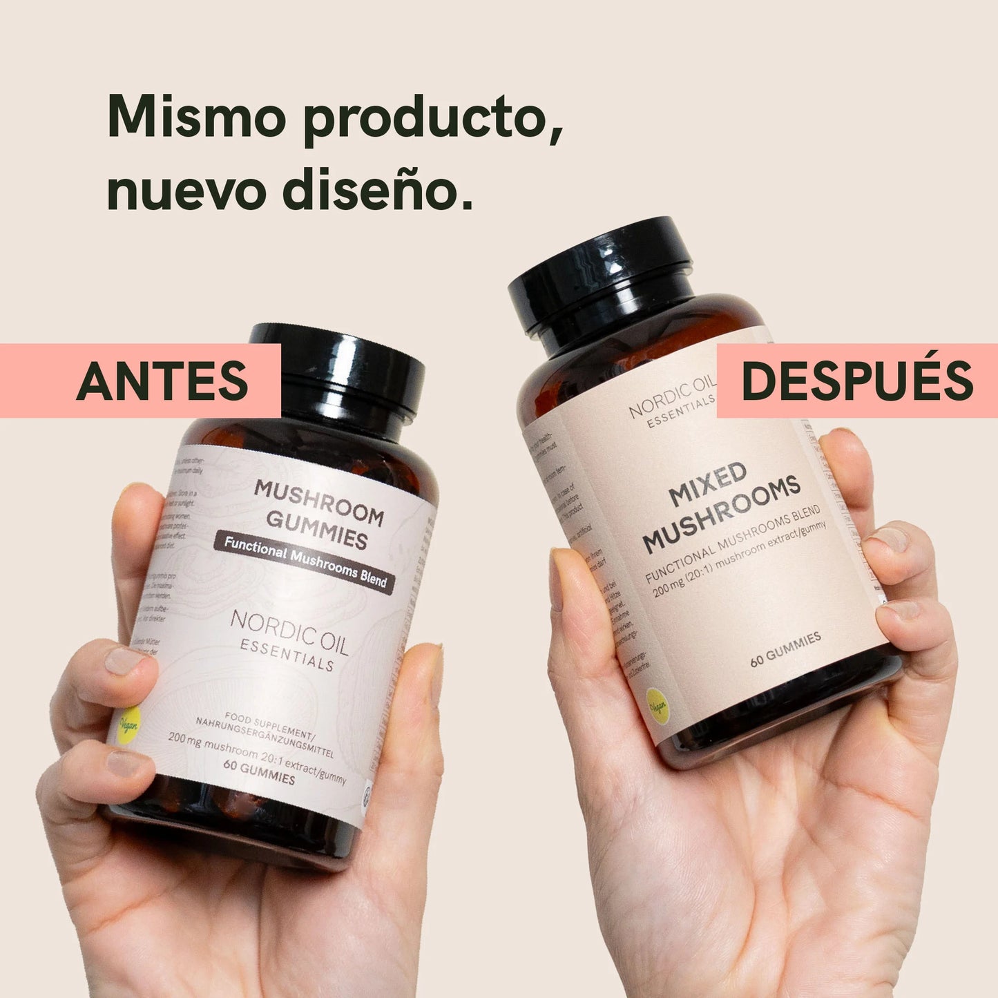 Hongos medicinales