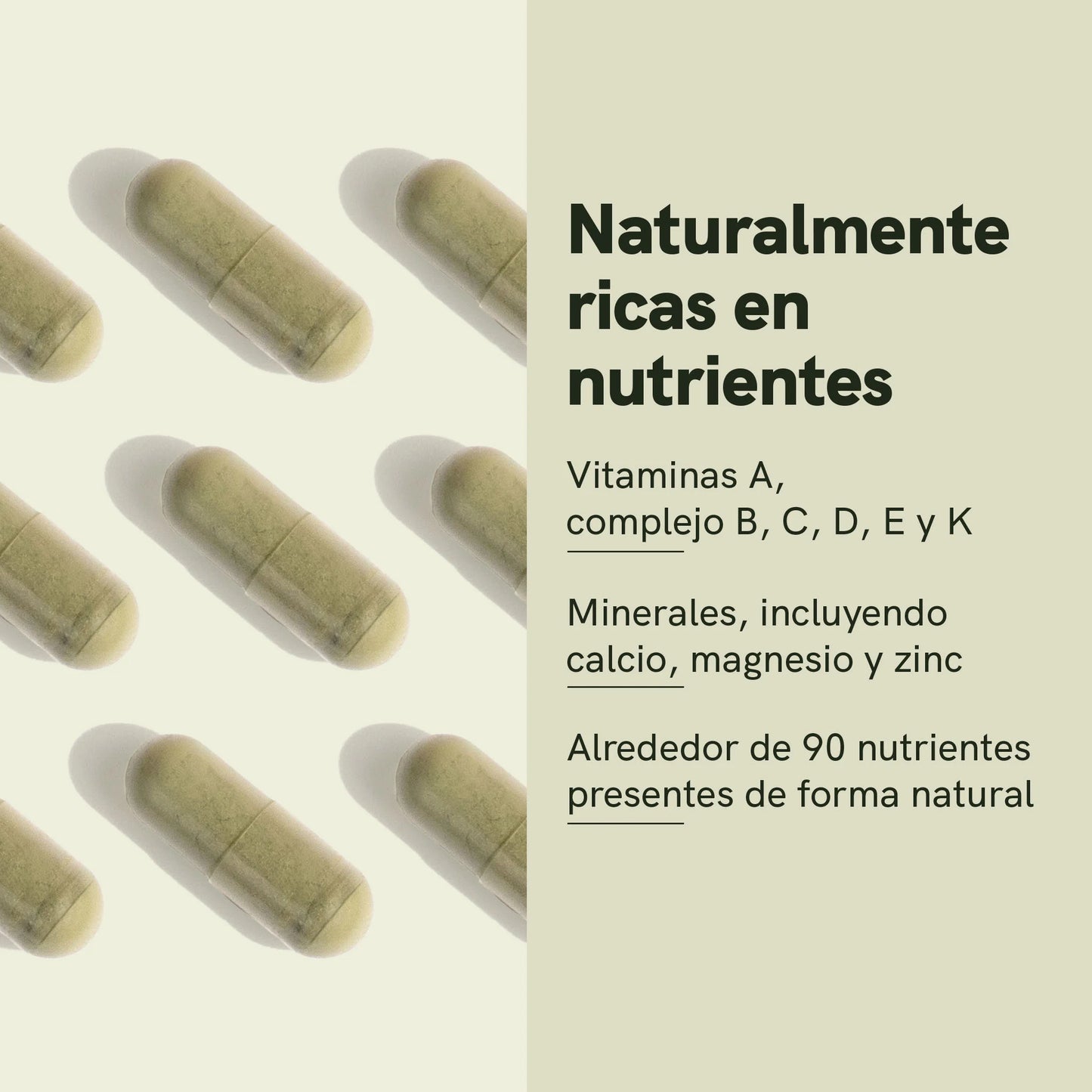 Cápsulas de Moringa en Polvo