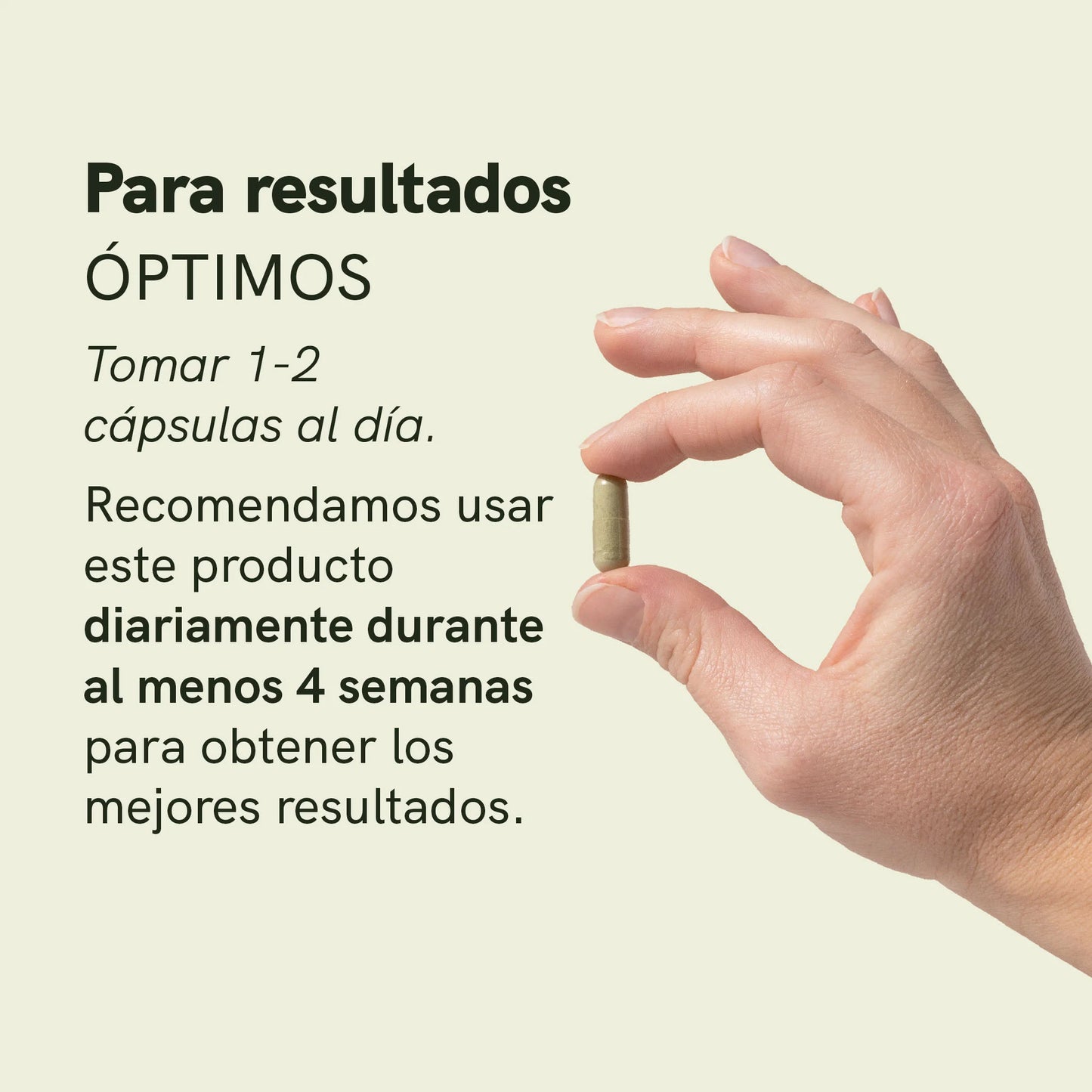 Cápsulas de Moringa en Polvo