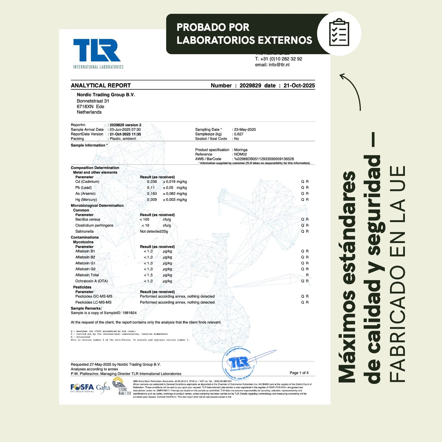 Cápsulas de Moringa en Polvo