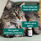 Aceite CBD para Gatos - Pescado - (2,5%)