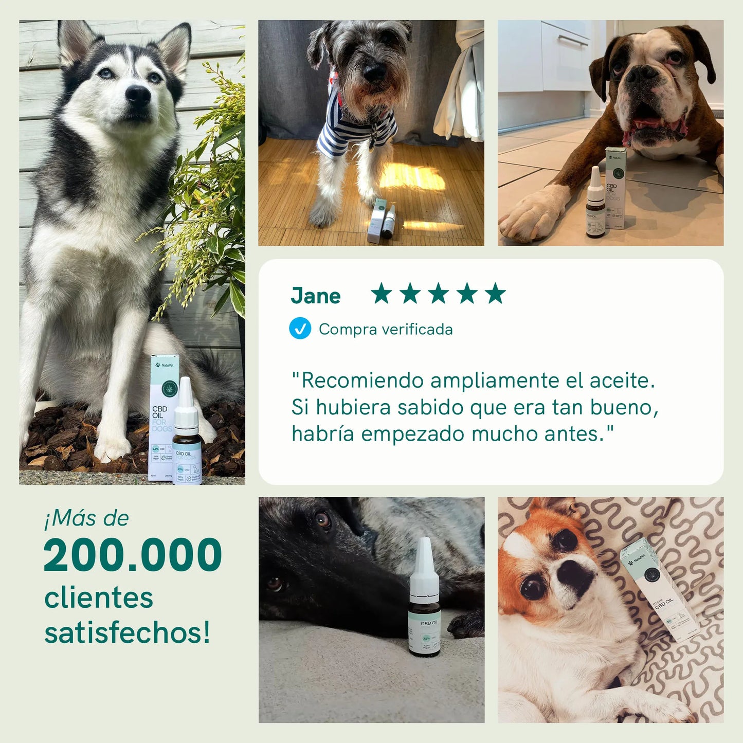 3POR2: Aceite CBD para Perros - Carne - (4%)