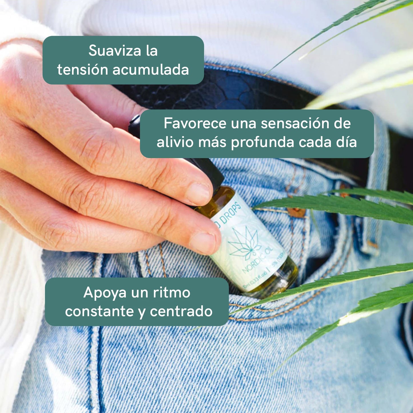 Aceite CBD (15%) Classic