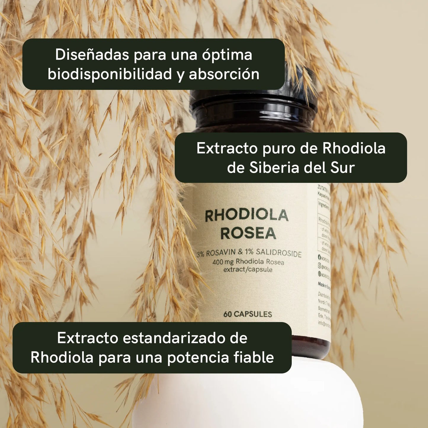 Botella de extracto de Rhodiola Rosea con plantas secas decorativas