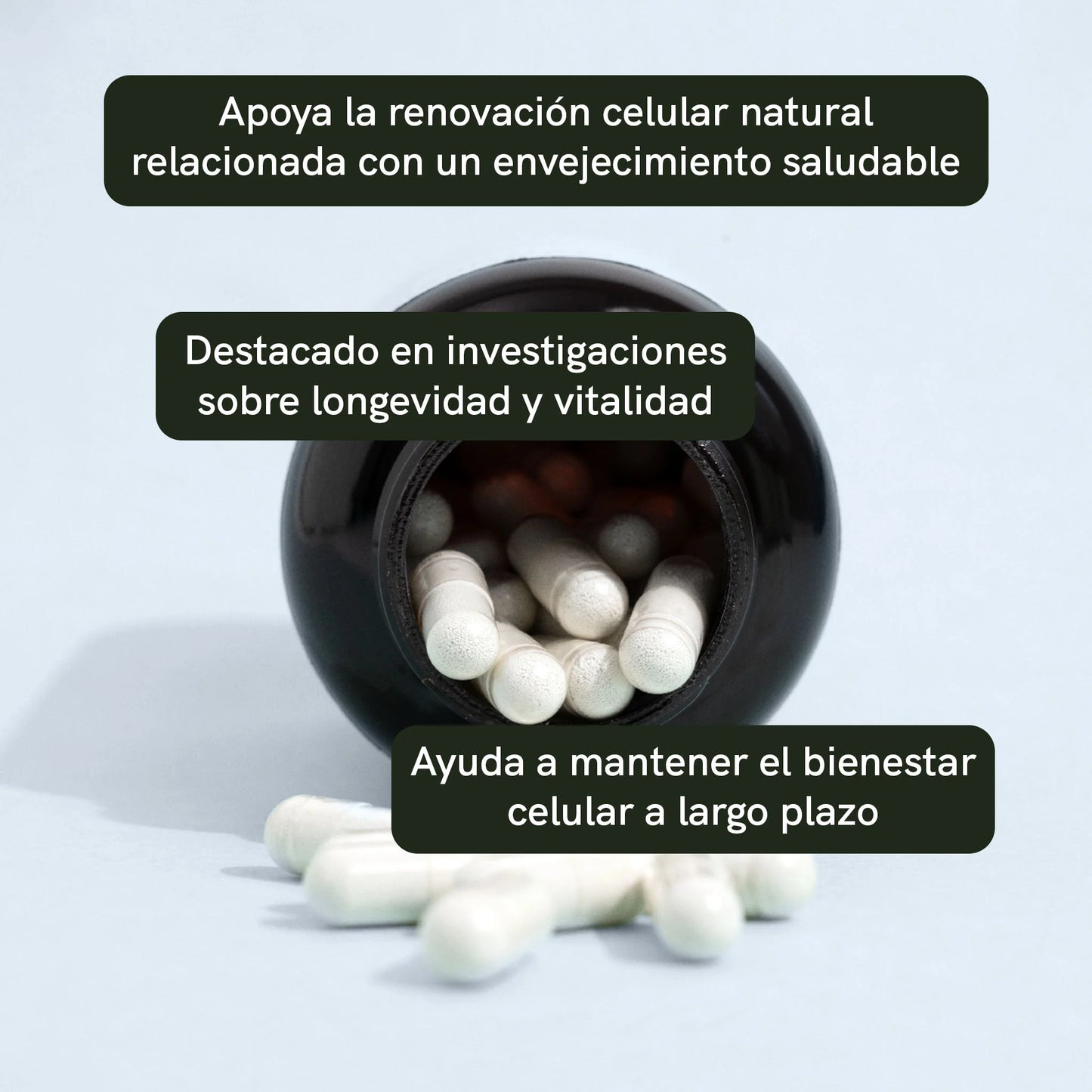 Cápsulas de espermidina