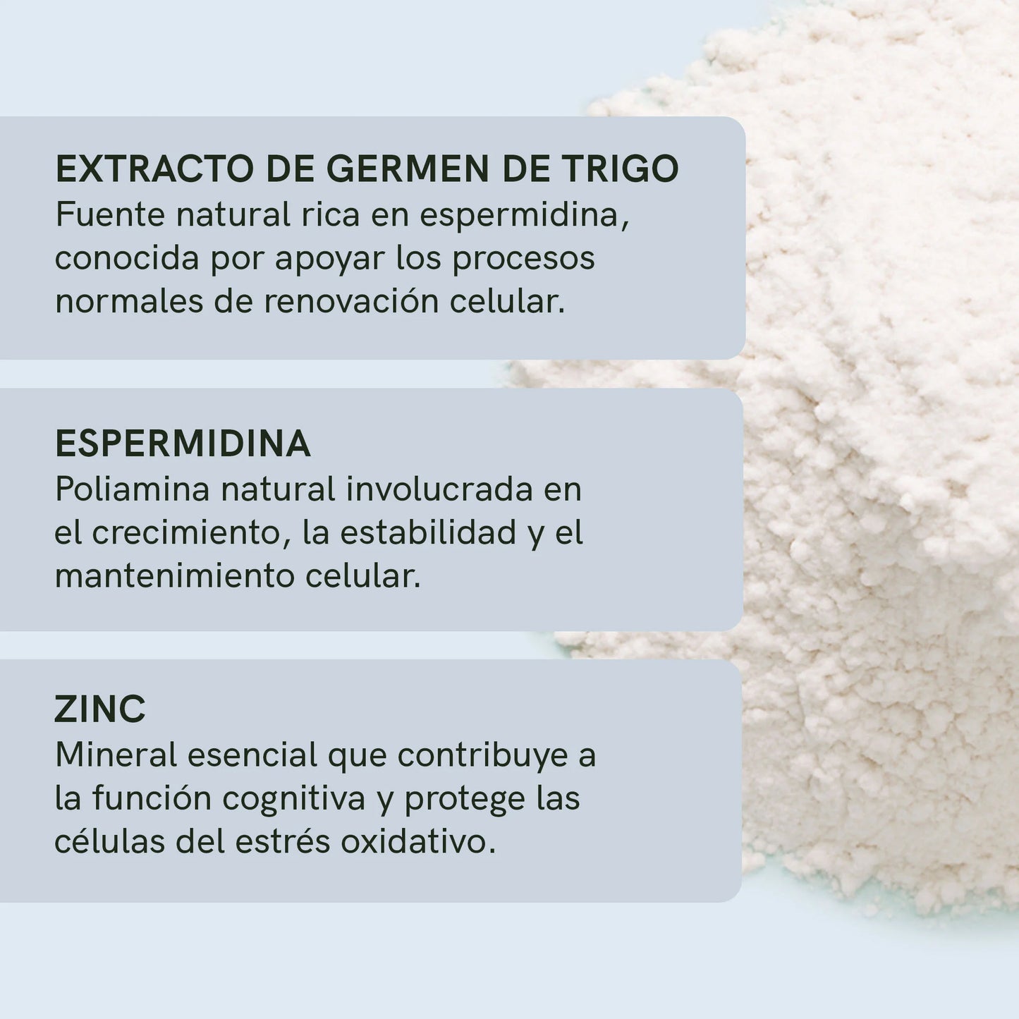 Cápsulas de espermidina