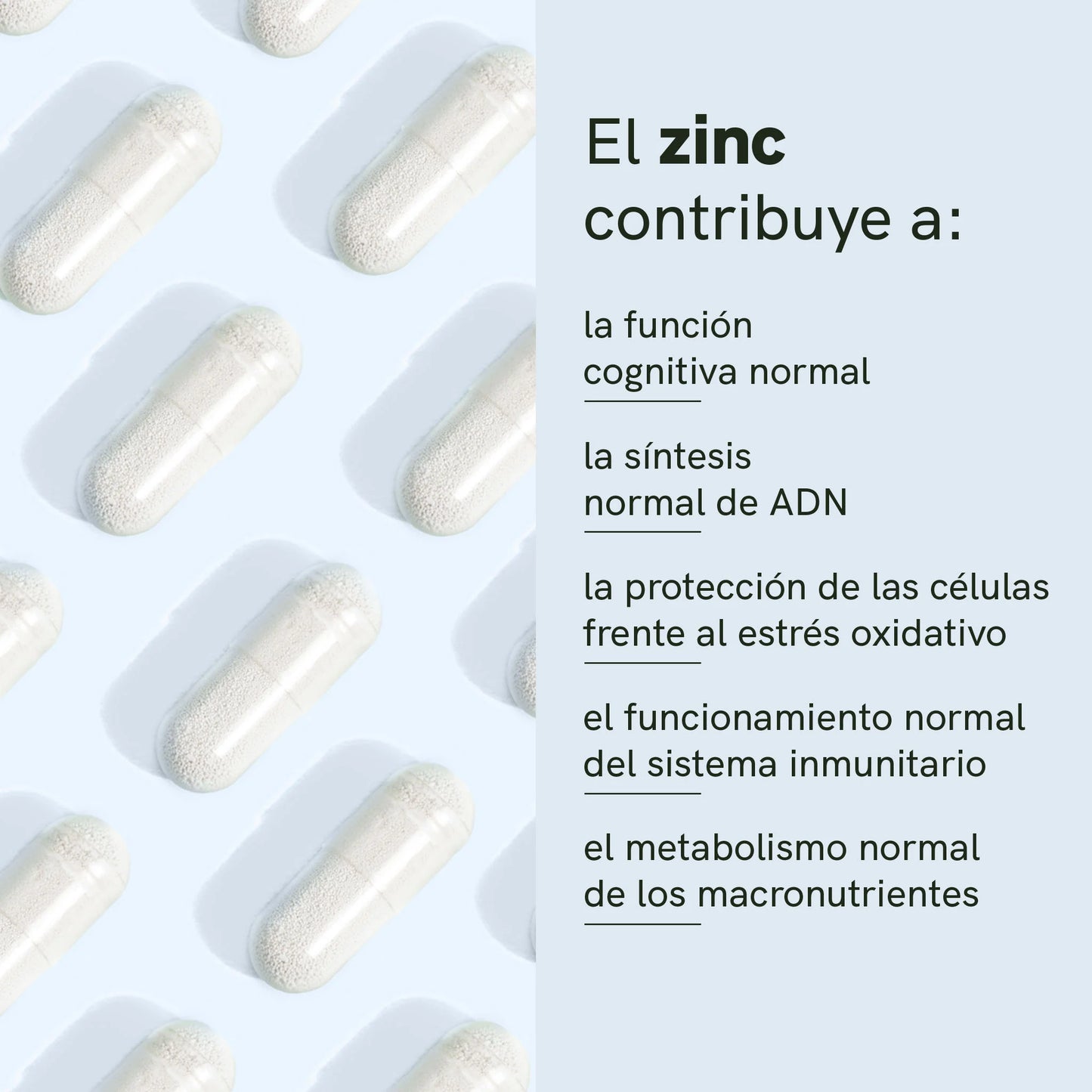 Cápsulas de espermidina