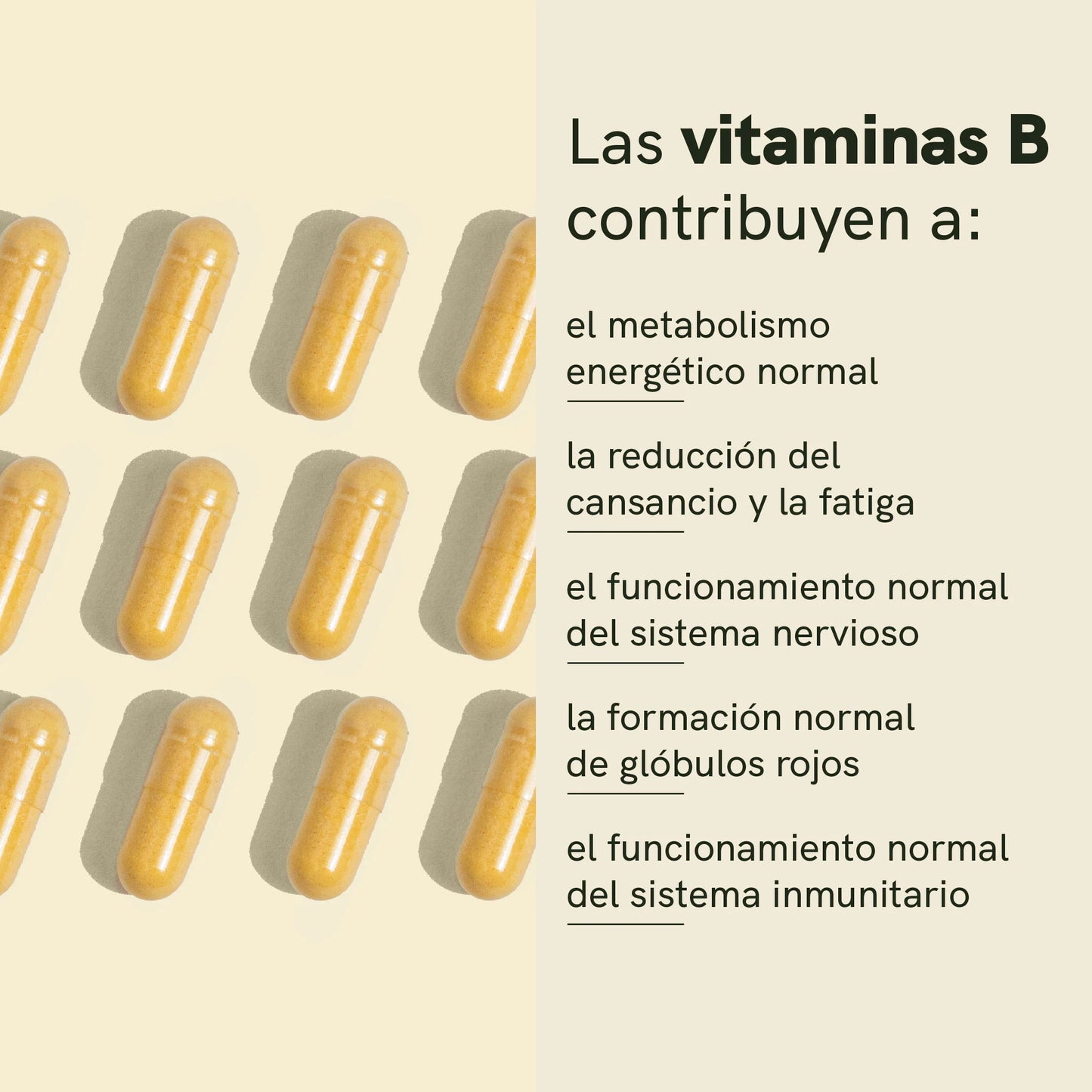 Complejo de Vitamina B